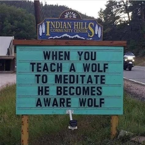 When You Teach A Wolf To Meditate He Becomes Aware Wolf Punny Jokes