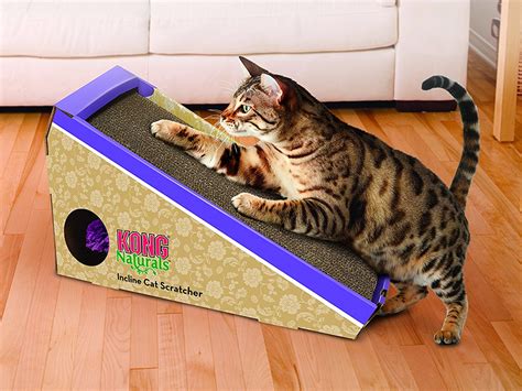 The Best Cat Scratching Posts You Can Buy Business Insider