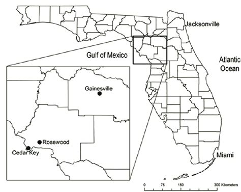 1 Location Of Rosewood Florida Download Scientific Diagram