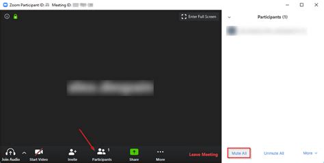 How To Mute Zoom Meeting Chemjas