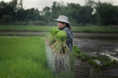 Farmers | Farmer, Farmland, Great photos