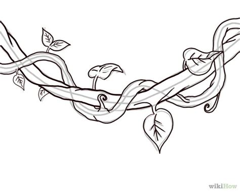 How To Draw A Jungle Vine Vine Drawing Jungle Drawing Jungle Art
