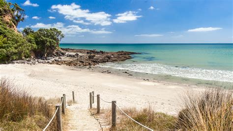 The windswept beach has an isolated otherworldly feel. Car or camper for New Zealand? North Island two week road ...