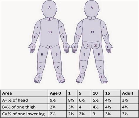 Phases Of Burn Injury