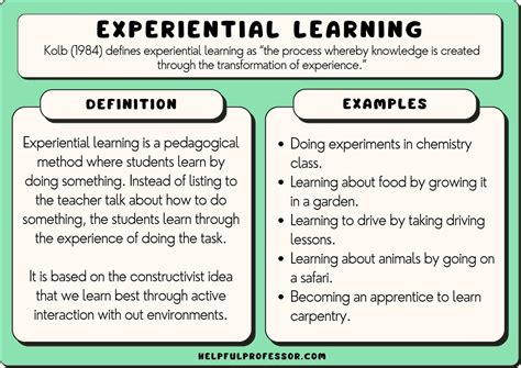 21 Experiential Learning Examples 2024