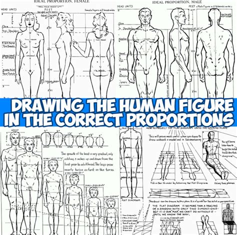Proportions Figure Drawing Archives How To Draw Step By Step Drawing