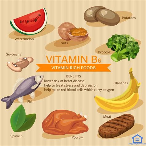 15 Benefits Of Eating Green Bananas Vitamin Rich Foods Green Eating