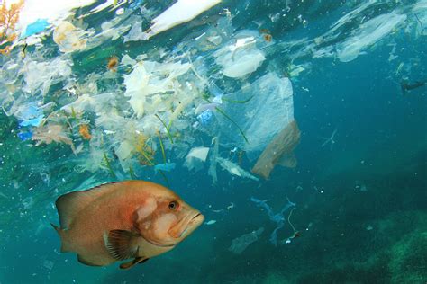 La Pollution Plastique Devrait Doubler Dici 2030 Enviro2b