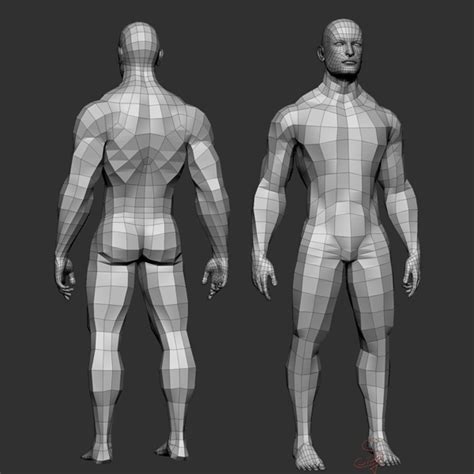3d Character Modeler And Digital Sculpture Artist Human Anatomy
