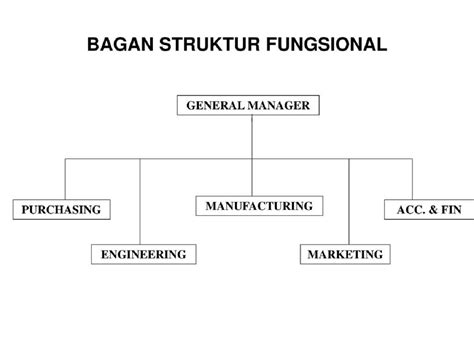 Jenis Bagan Struktur Organisasi Fungsional Dan IMAGESEE