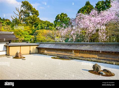 Kyoto Japan At Ryoan Ji Temple Zen Garden In The Spring Season Stock