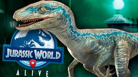 Jurassic World Alive 8 A Blue Novo Velociraptor Gameplay Em Português Pt Br Youtube