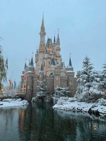 A Rare Winter Snowfall Transforms This Disney Park Into A Winter