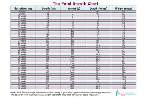 Fetal Gestational Age Weight Chart Hot Sex Picture