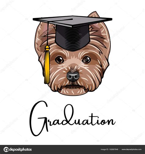 Yorkshire Terrier Dog Graduate Graduation Cap Hat Dog Portrait