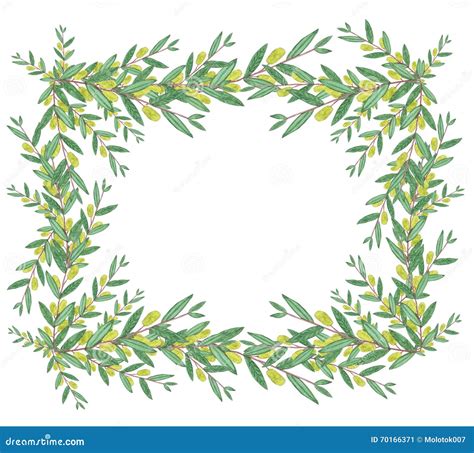 Watercolor Olive Wreath Isolated Illustration On White Backgrou Stock