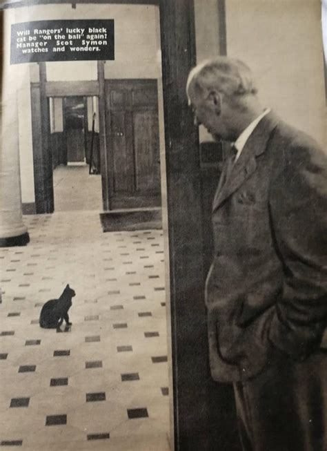 Scot Symon Black Cat Img 5178 — Postimages