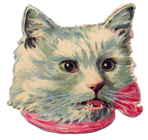The Graphics Fairy Llc Vintage Image White Kitty Cat With Bow Vintage Cat Cats