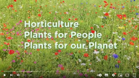 Plants For People Plants For Our Planet Horticulture Jobs World