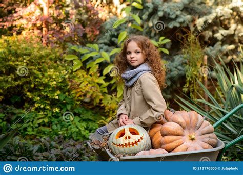 Beautiful Little Girl With Pumpkins In Autumn Park Stock Photo Image