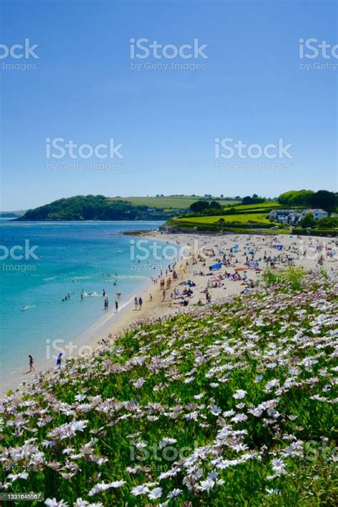 Gyllyngvase Beach Falmouth Cornwall Uk Stock Photo Download Image Now