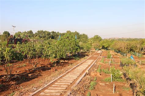 Taman wisata matahari dengan konsep educational and recreation park menjadikan kegiatan pertanian menjadi salah satu wahananya. Taman Agro Wisata Situ Bolang Indramayu