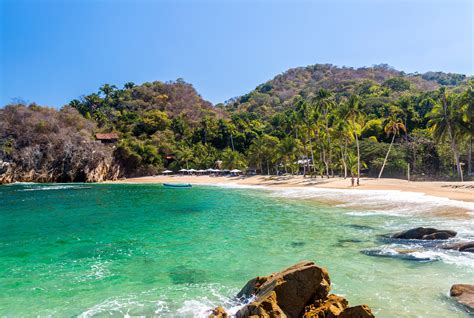 10 Of Mexicos Cleanest Beaches Are Located In Puerto Vallarta