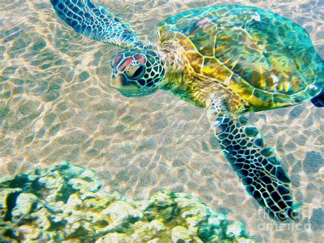 Beautiful Sea Turtle Mixed Media By Jon Neidert