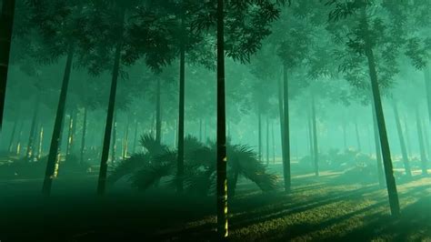 Bamboo Forest In The Fog Stock Motion Graphics Motion Array