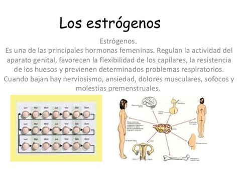 Los Estrogenos