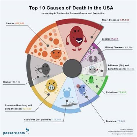 Top Ten Causes Of Death In The United States Daily Infographic