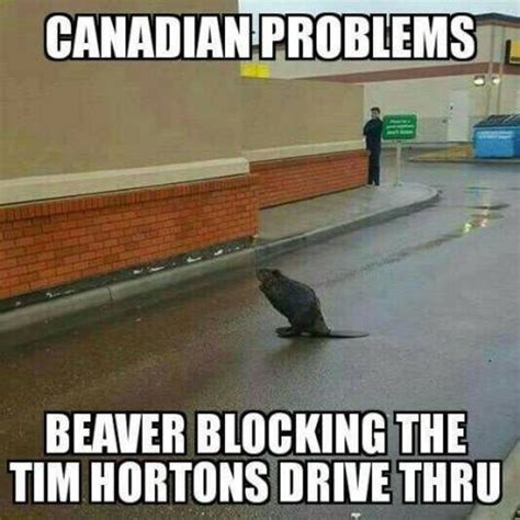 Send them canada wishes straight from the heart. Happy Canada Day Buddy! Funny Pictures +30 Pics - Funny ...