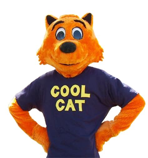 Discuss Everything About Cool Cat Wiki Fandom