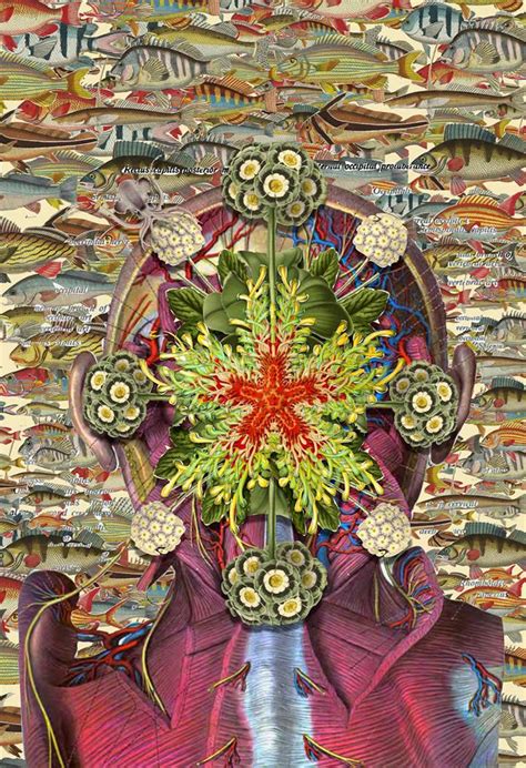 Botanical Anatomy Collages by Bedelgeuse - XciteFun.net