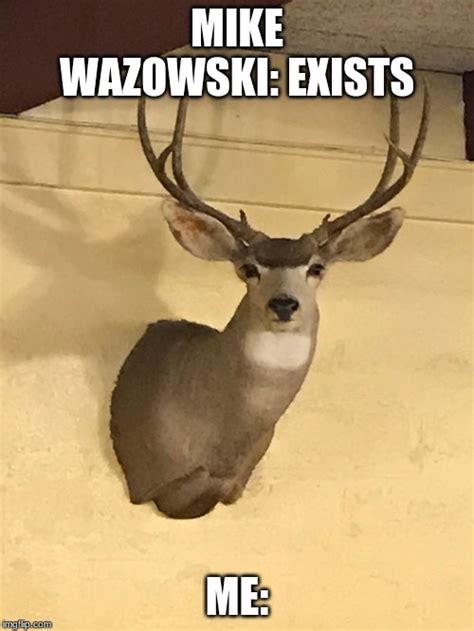 Image Tagged In Staring Deer Imgflip