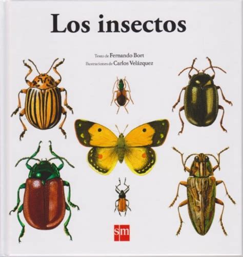 Lista 104 Foto Imagenes De Insectos Con Su Nombre Actualizar