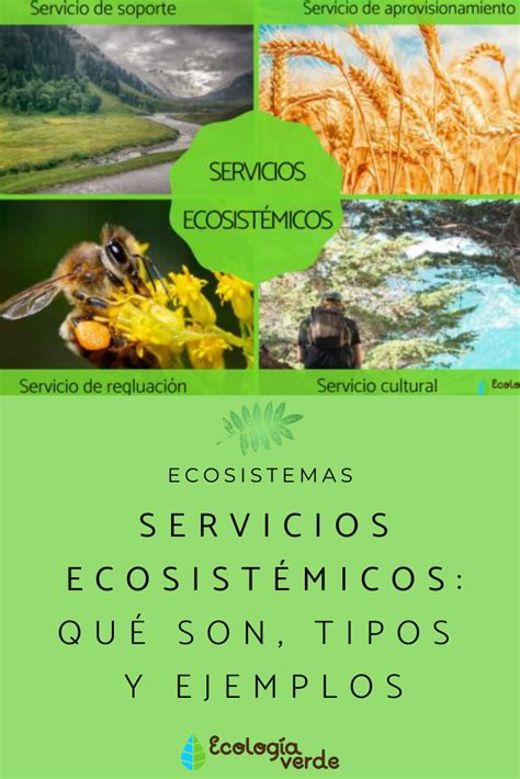 Servicios EcosistÉmicos Qué Son Tipos Y Ejemplos ¡resumen