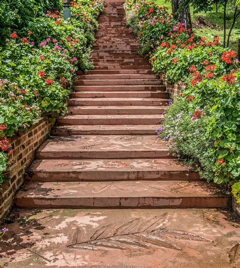 Hd Wallpaper Steps Garden Chiang Mai Botanical Gardens Pathway