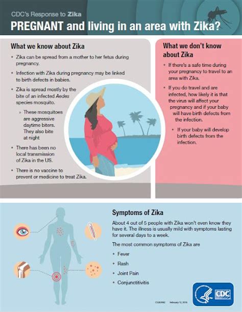 Avian Flu Diary Cdc Advice Pregnant And Living In A Zika Prone Area