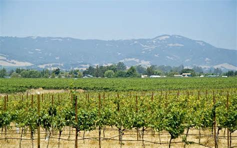 Sonoma Valley Vineyards For Sale Vintroux
