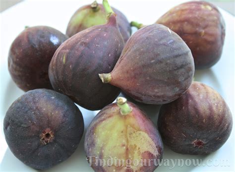 Goat Cheese Stuffed Figs Recipe Finding Our Way Now
