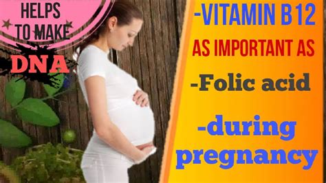 Vitamin B12 As Important As Folic Acid During Pregnancy Foods For