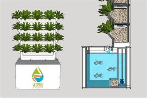 What Is Vertical Aquaponic Gardening Climatebiz