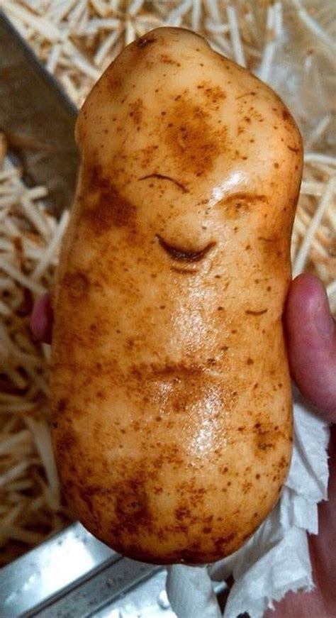 Pin By Watyou Lookingat On Found Faces Happy Potato Potato Funny