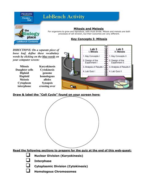 Start studying mitosis and meiosis (exam 3). Click here to the Cell Division Webquest Worksheet