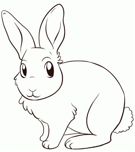 10 Dibujos De Conejos Para Niños