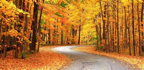 Take A Breathtaking Fall Foliage Drive In Western Pennsylvania Fall