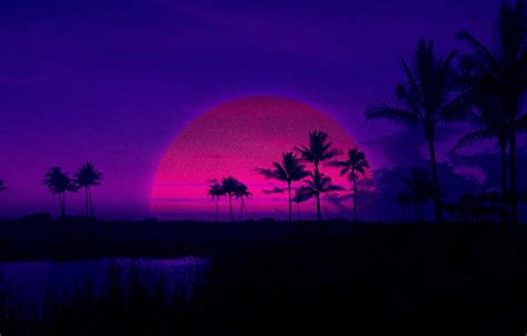 Wallpaper Sunset The Sun The Evening Music Style Palm Trees