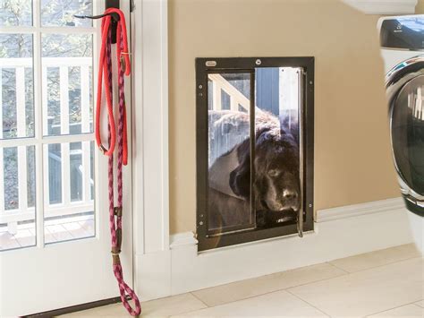 Pet Doors For Wall Installation Encycloall