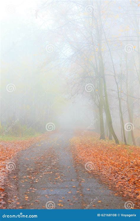 Pathway Through The Misty Autumn Park Stock Photo Image Of Fall